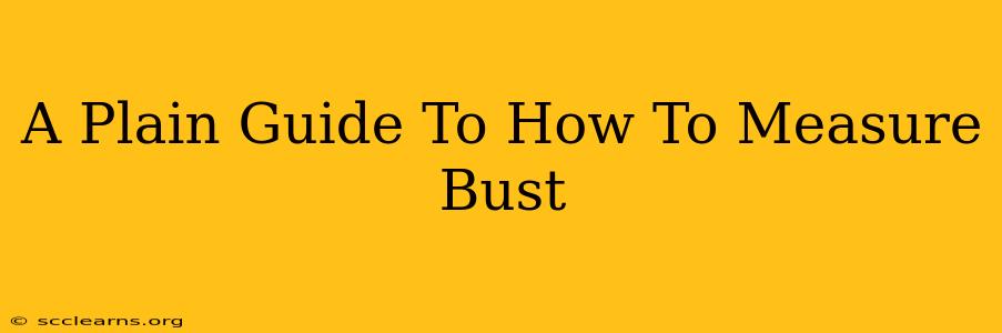 A Plain Guide To How To Measure Bust