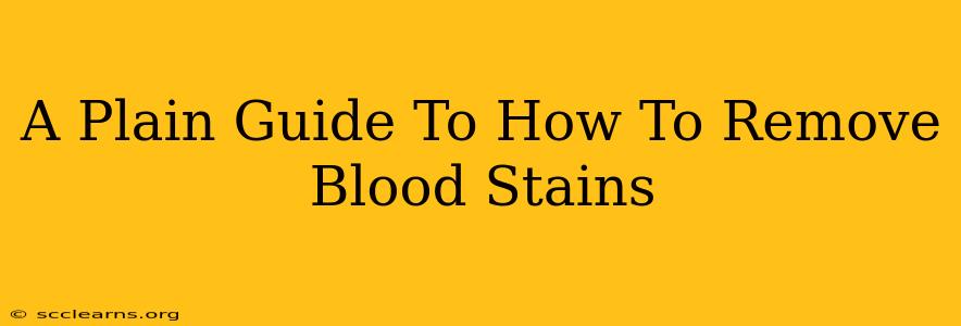 A Plain Guide To How To Remove Blood Stains