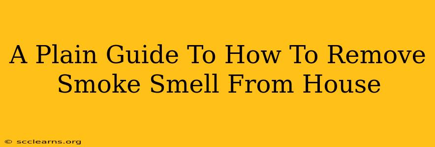 A Plain Guide To How To Remove Smoke Smell From House