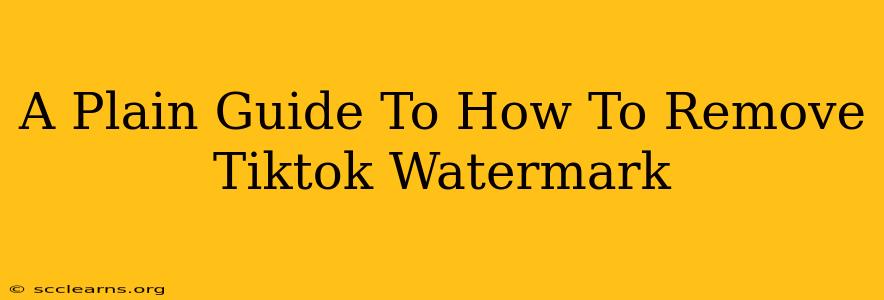 A Plain Guide To How To Remove Tiktok Watermark