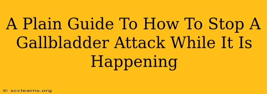 A Plain Guide To How To Stop A Gallbladder Attack While It Is Happening