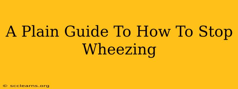 A Plain Guide To How To Stop Wheezing