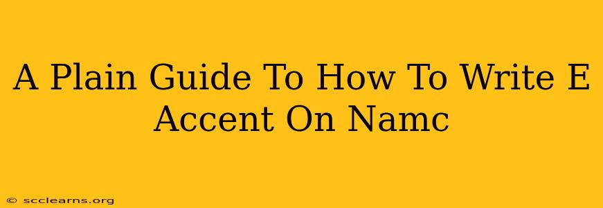 A Plain Guide To How To Write E Accent On Namc