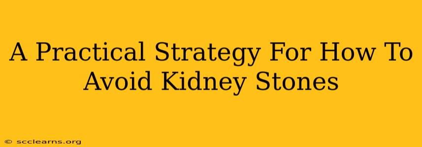 A Practical Strategy For How To Avoid Kidney Stones