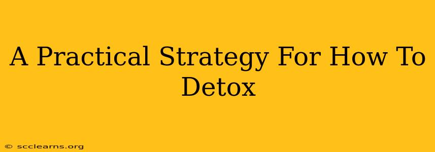 A Practical Strategy For How To Detox