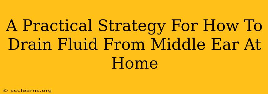 A Practical Strategy For How To Drain Fluid From Middle Ear At Home