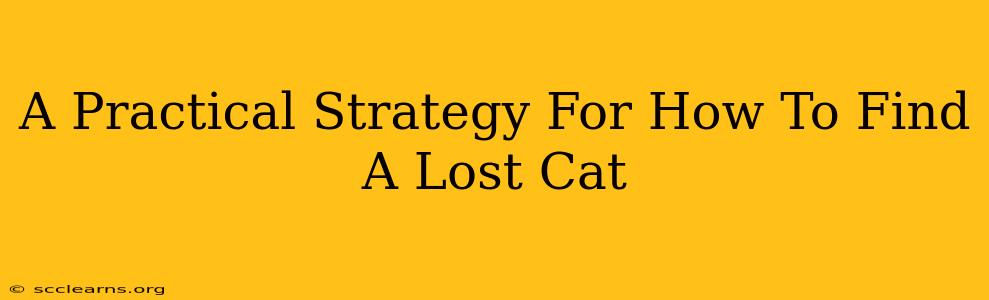 A Practical Strategy For How To Find A Lost Cat