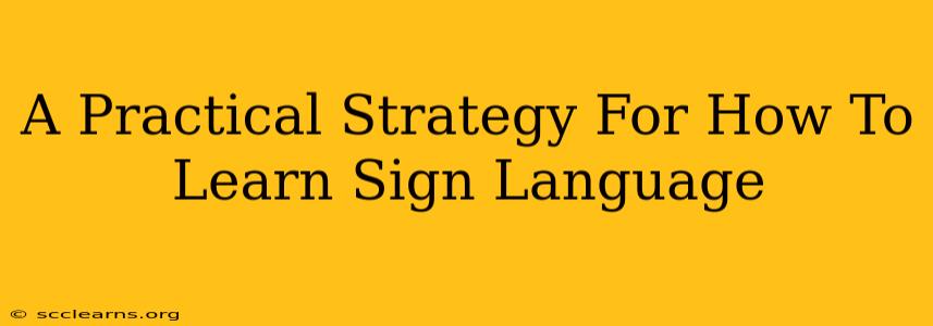 A Practical Strategy For How To Learn Sign Language