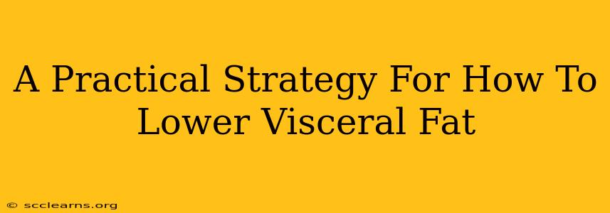 A Practical Strategy For How To Lower Visceral Fat