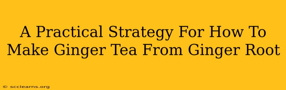 A Practical Strategy For How To Make Ginger Tea From Ginger Root