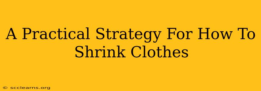 A Practical Strategy For How To Shrink Clothes