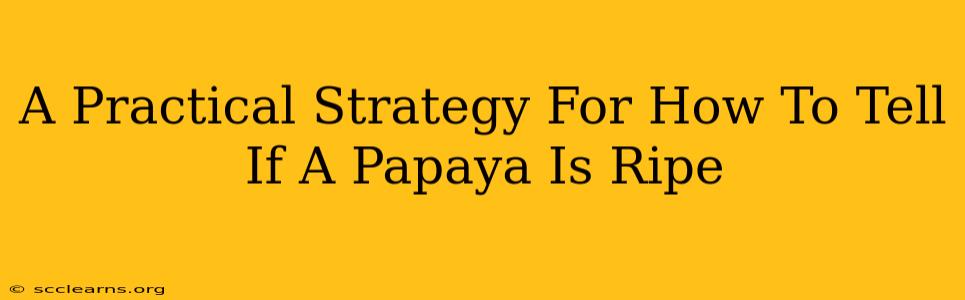 A Practical Strategy For How To Tell If A Papaya Is Ripe