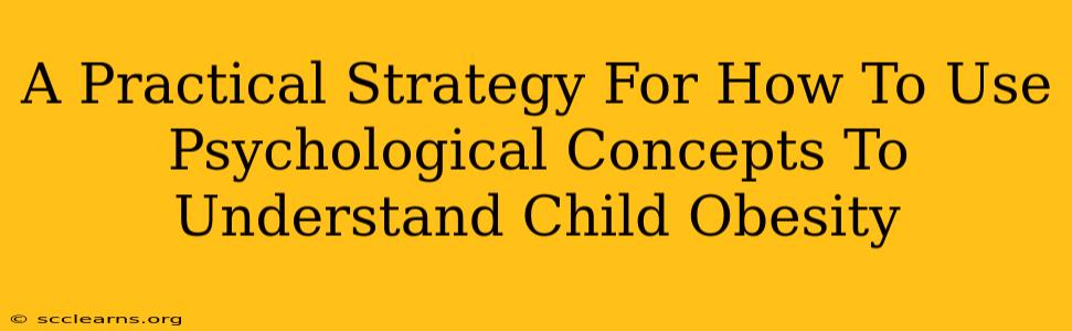 A Practical Strategy For How To Use Psychological Concepts To Understand Child Obesity