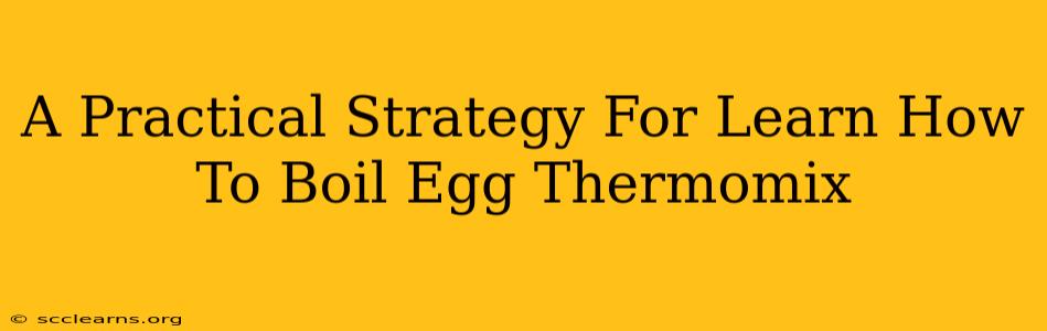 A Practical Strategy For Learn How To Boil Egg Thermomix