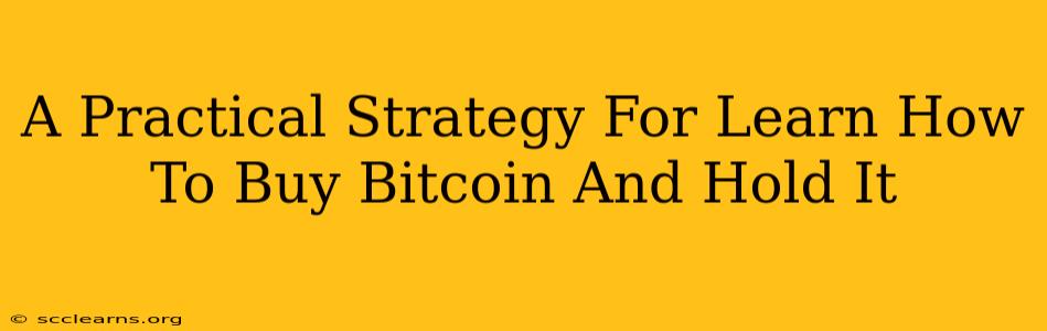 A Practical Strategy For Learn How To Buy Bitcoin And Hold It