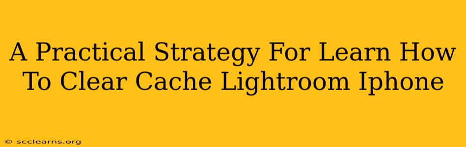 A Practical Strategy For Learn How To Clear Cache Lightroom Iphone