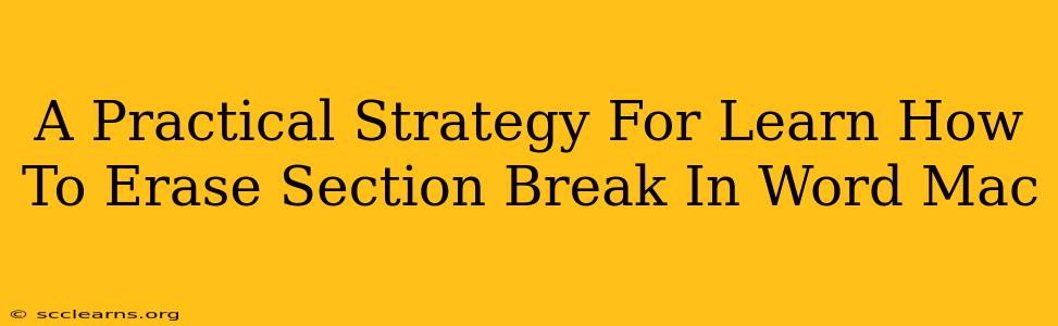 A Practical Strategy For Learn How To Erase Section Break In Word Mac