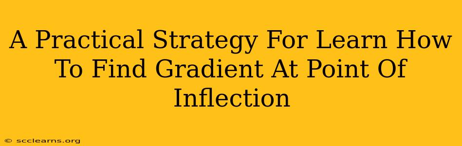 A Practical Strategy For Learn How To Find Gradient At Point Of Inflection