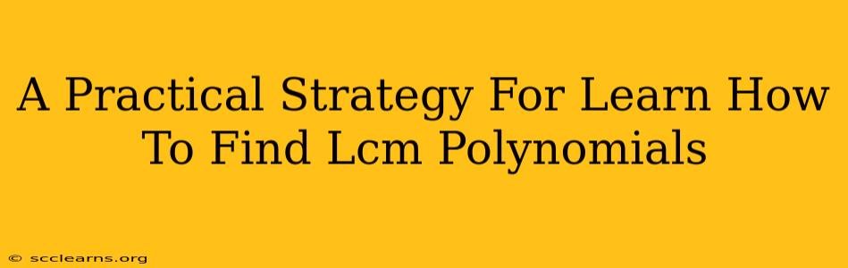 A Practical Strategy For Learn How To Find Lcm Polynomials