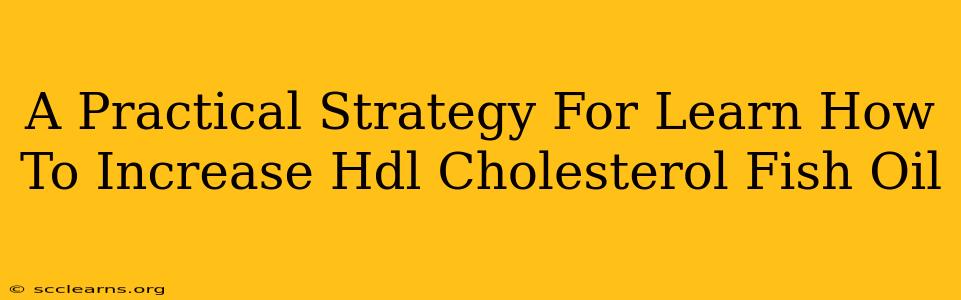 A Practical Strategy For Learn How To Increase Hdl Cholesterol Fish Oil