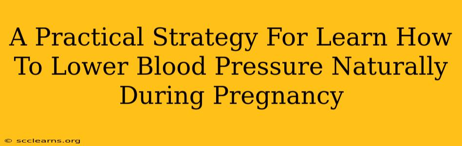 A Practical Strategy For Learn How To Lower Blood Pressure Naturally During Pregnancy