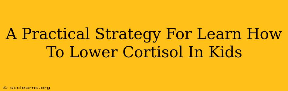 A Practical Strategy For Learn How To Lower Cortisol In Kids