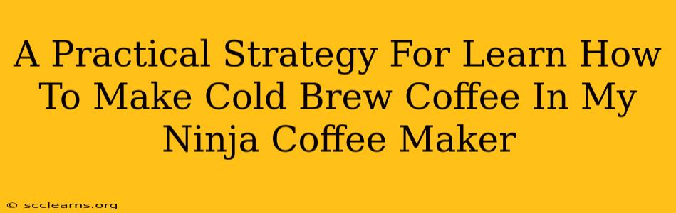 A Practical Strategy For Learn How To Make Cold Brew Coffee In My Ninja Coffee Maker