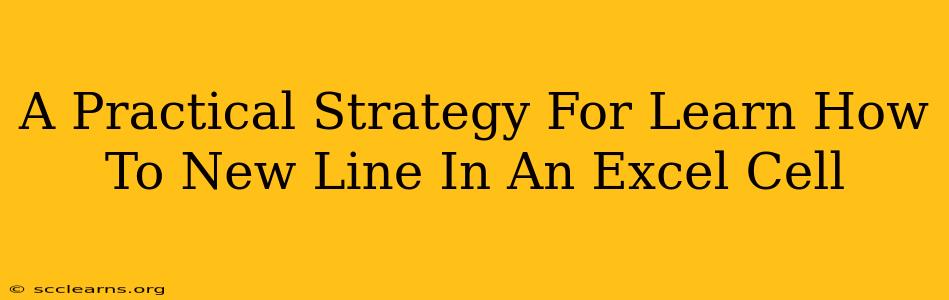 A Practical Strategy For Learn How To New Line In An Excel Cell