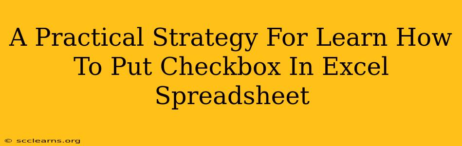 A Practical Strategy For Learn How To Put Checkbox In Excel Spreadsheet