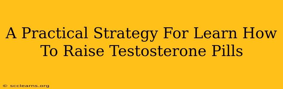 A Practical Strategy For Learn How To Raise Testosterone Pills