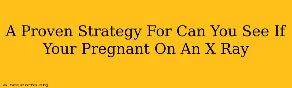 A Proven Strategy For Can You See If Your Pregnant On An X Ray