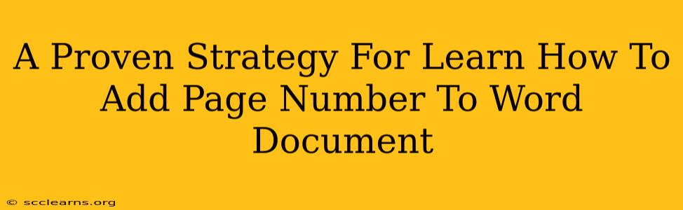 A Proven Strategy For Learn How To Add Page Number To Word Document