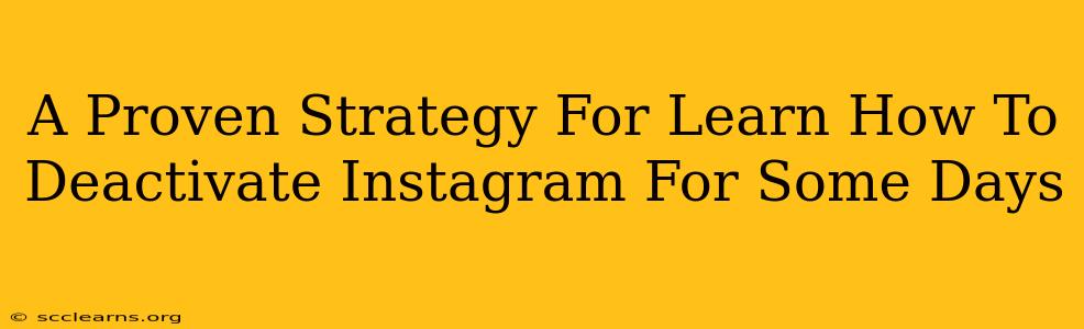 A Proven Strategy For Learn How To Deactivate Instagram For Some Days