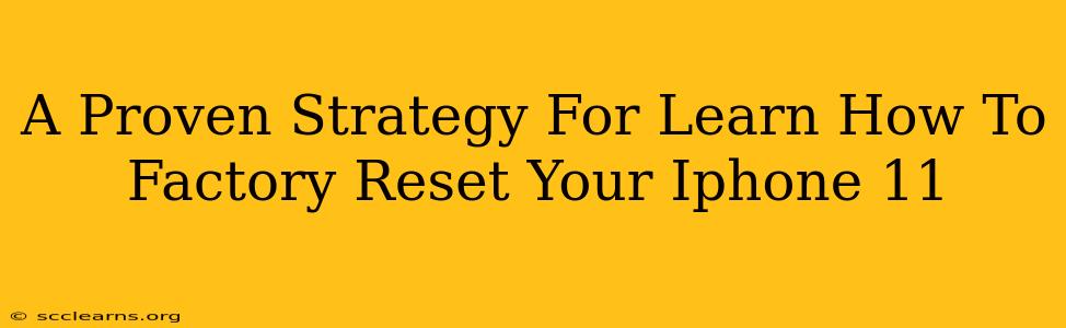 A Proven Strategy For Learn How To Factory Reset Your Iphone 11