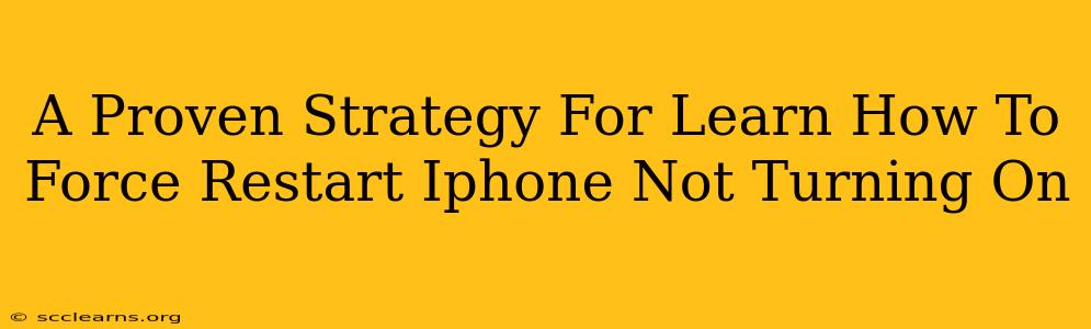 A Proven Strategy For Learn How To Force Restart Iphone Not Turning On