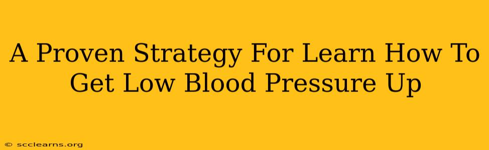 A Proven Strategy For Learn How To Get Low Blood Pressure Up