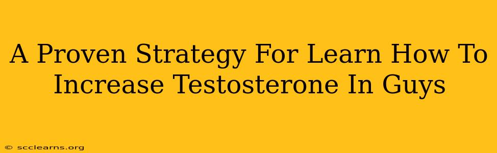 A Proven Strategy For Learn How To Increase Testosterone In Guys