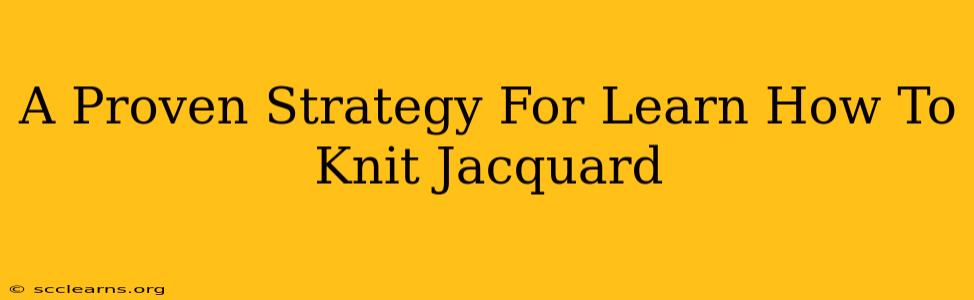 A Proven Strategy For Learn How To Knit Jacquard