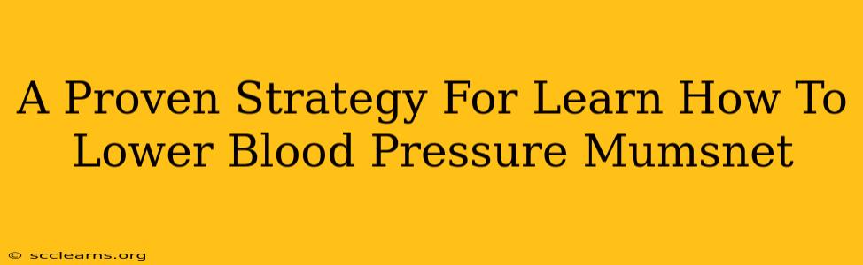 A Proven Strategy For Learn How To Lower Blood Pressure Mumsnet