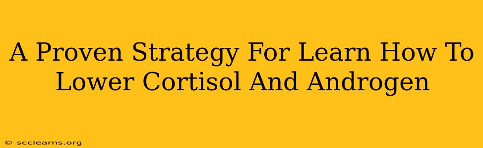 A Proven Strategy For Learn How To Lower Cortisol And Androgen