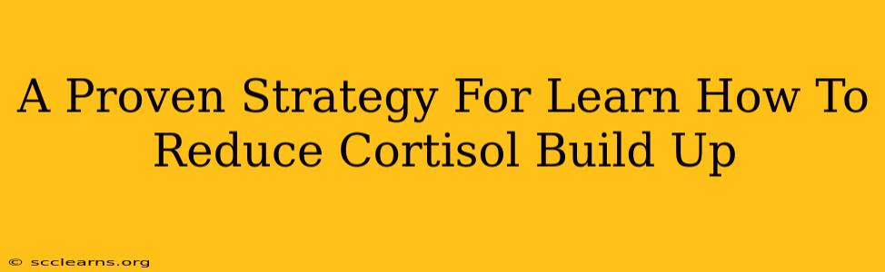 A Proven Strategy For Learn How To Reduce Cortisol Build Up