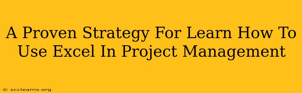 A Proven Strategy For Learn How To Use Excel In Project Management