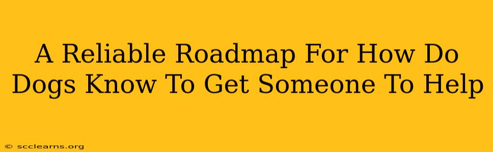 A Reliable Roadmap For How Do Dogs Know To Get Someone To Help