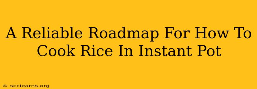 A Reliable Roadmap For How To Cook Rice In Instant Pot