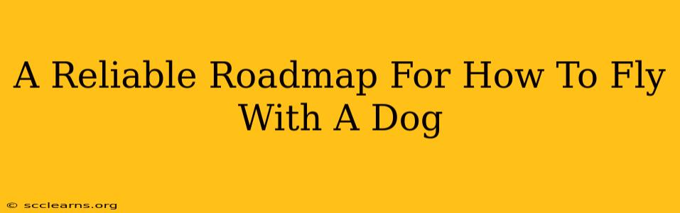 A Reliable Roadmap For How To Fly With A Dog