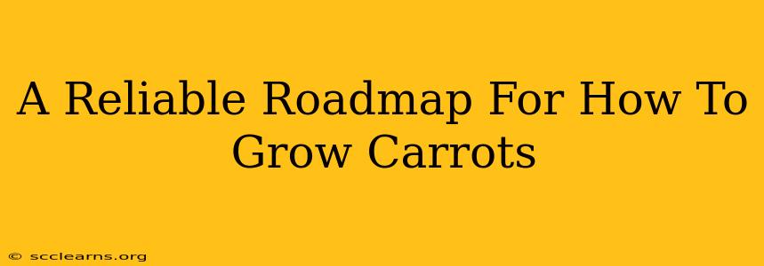 A Reliable Roadmap For How To Grow Carrots