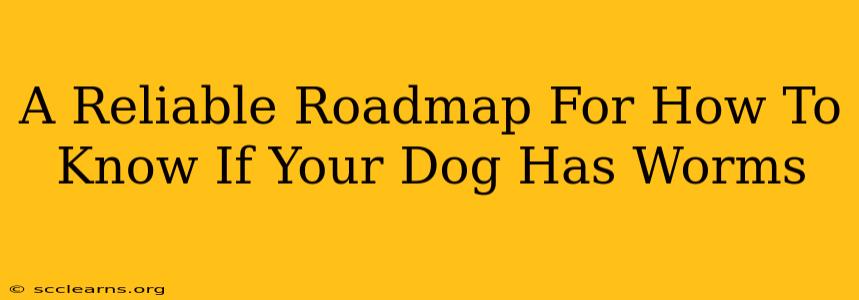 A Reliable Roadmap For How To Know If Your Dog Has Worms