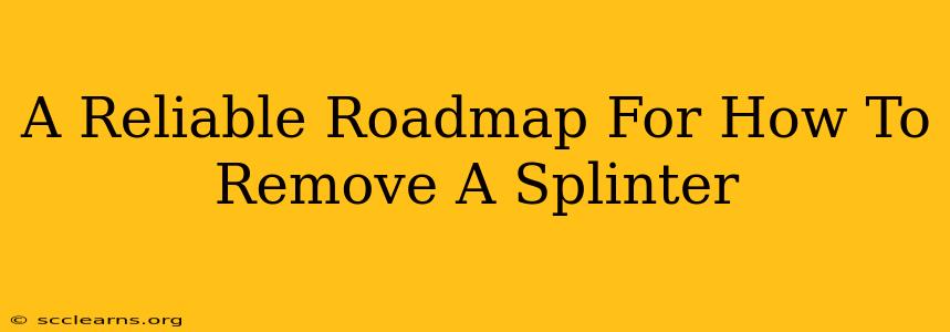 A Reliable Roadmap For How To Remove A Splinter