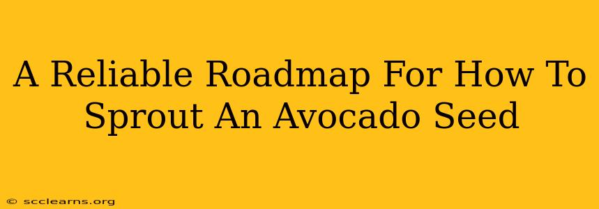 A Reliable Roadmap For How To Sprout An Avocado Seed