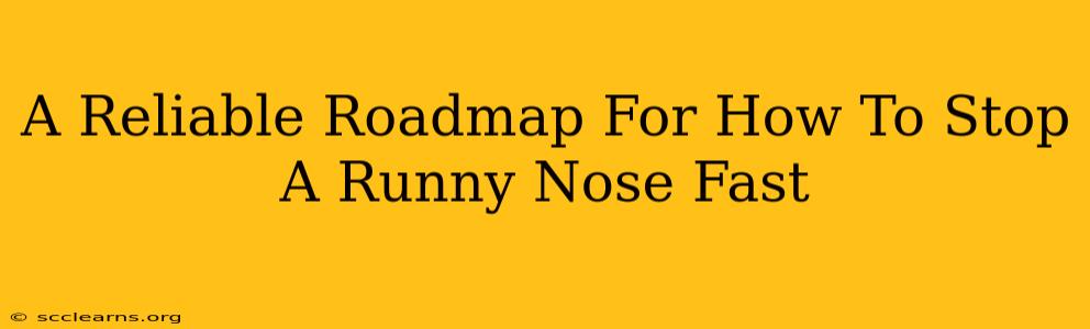 A Reliable Roadmap For How To Stop A Runny Nose Fast